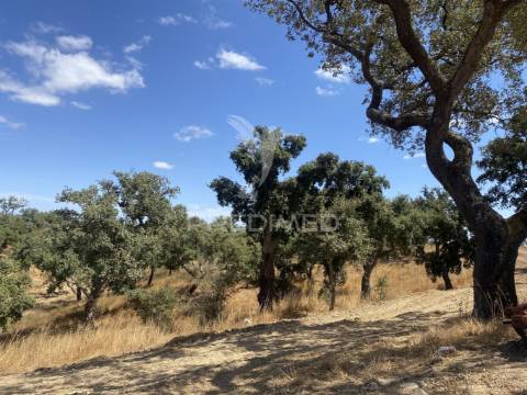 Herdade com 100ha em santiago do cacém