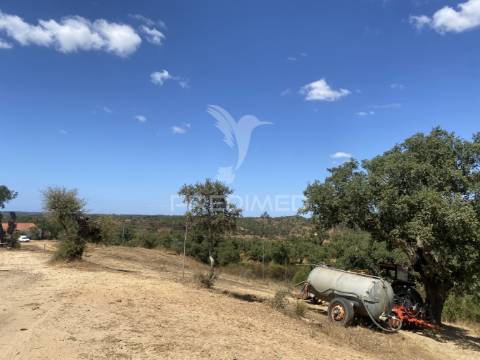 Herdade com 100ha em santiago do cacém