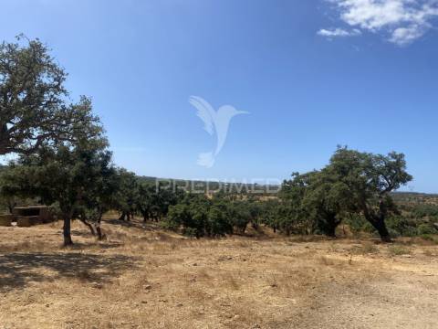 Herdade com 100ha em santiago do cacém