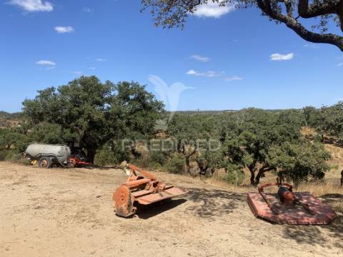 Herdade com 100ha em santiago do cacém