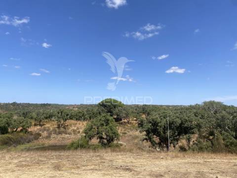 Herdade com 100ha em santiago do cacém