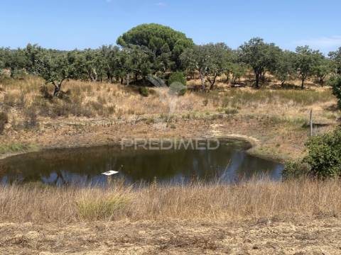 Herdade com 100ha em santiago do cacém