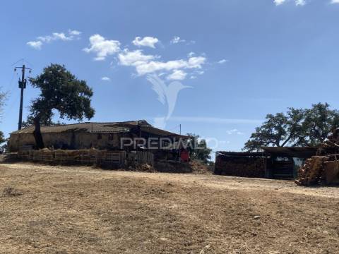 Herdade com 100ha em santiago do cacém