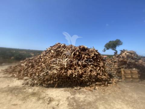 Herdade com 100ha em santiago do cacém