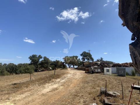 Herdade com 100ha em santiago do cacém