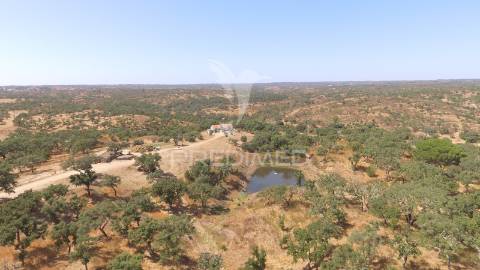 Herdade com 100ha em santiago do cacém