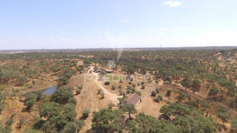 Herdade com 100ha em santiago do cacém