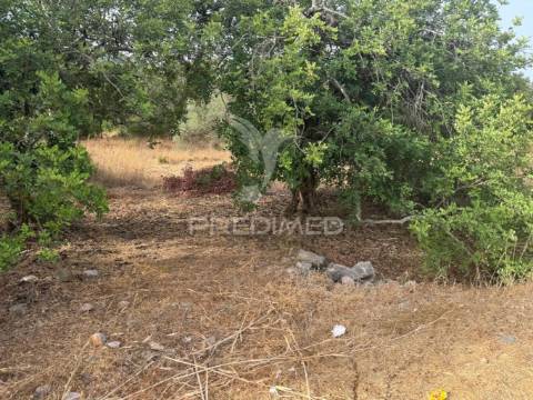 Terreno rústico-machados são brás de alportel