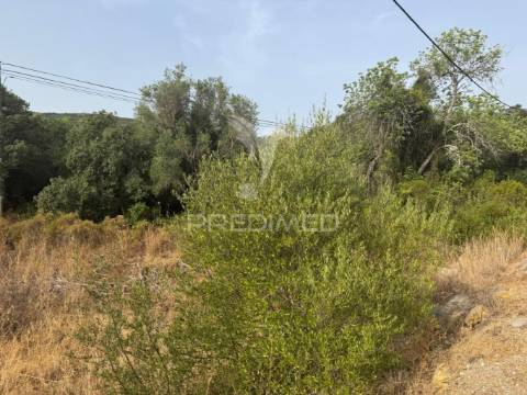 Terreno rústico-machados são brás de alportel