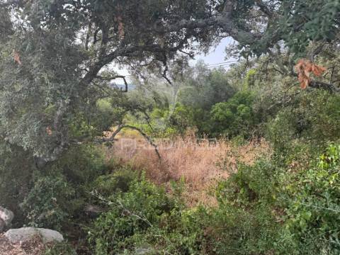 Terreno rústico-machados são brás de alportel