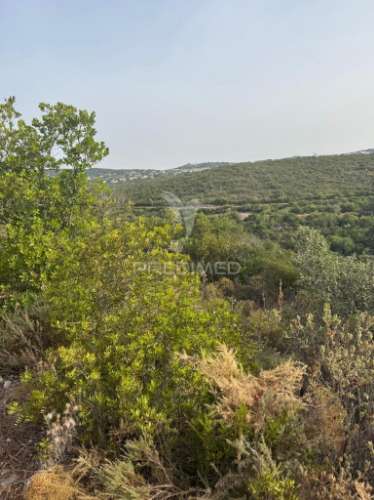 Terreno rustico machados são brás de alportel