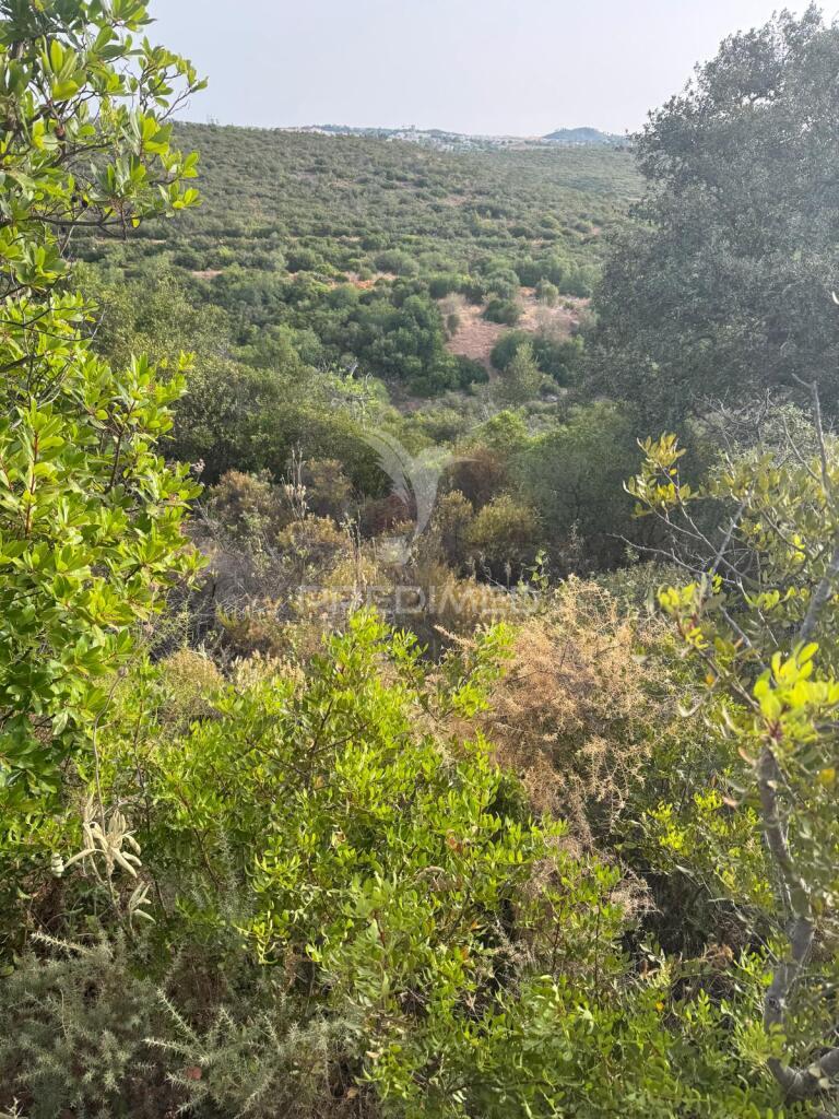 Terreno rustico machados são brás de alportel