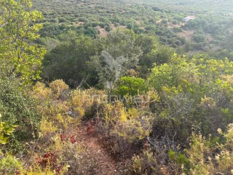 Terreno rustico machados são brás de alportel