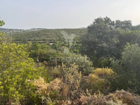Terreno rustico machados são brás de alportel