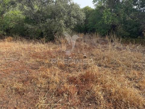 Terreno rústico-calçada-são brás de alportel