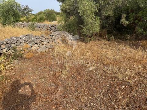 Terreno rústico-calçada-são brás de alportel