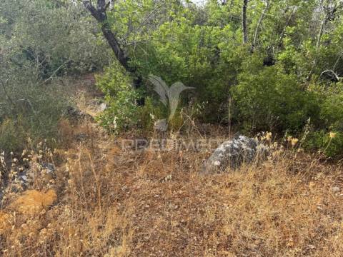 Terreno rústico-calçada-são brás de alportel