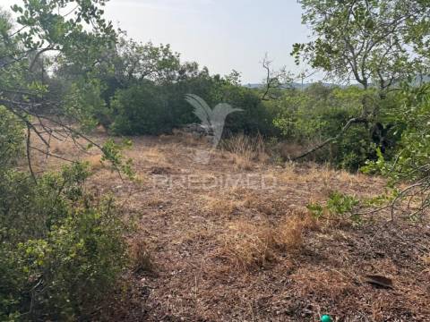 Terreno rústico-calçada-são brás de alportel