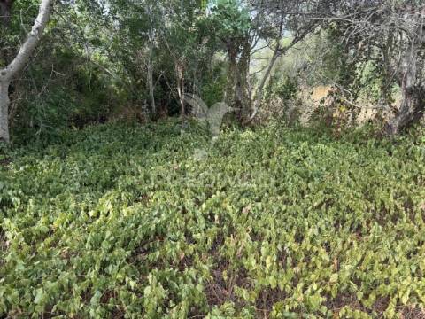 Terreno rústico-calçada-são brás de alportel