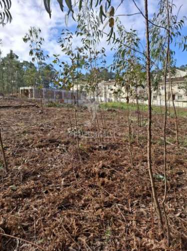 Terreno  para construçao de para moradia de 4 frentes