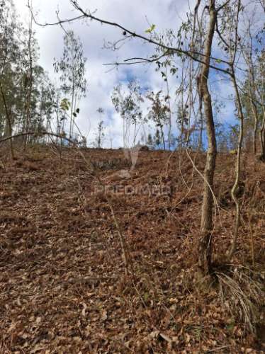 Terreno  para construçao de para moradia de 4 frentes