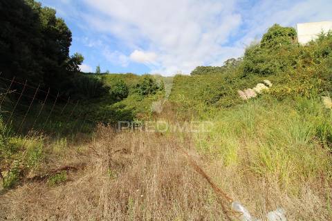 Terreno urbano  na encosta do douro com vista rio