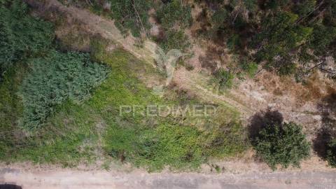 Terreno rústico com viabilidade de construção em vidais – 3100m² de potencial