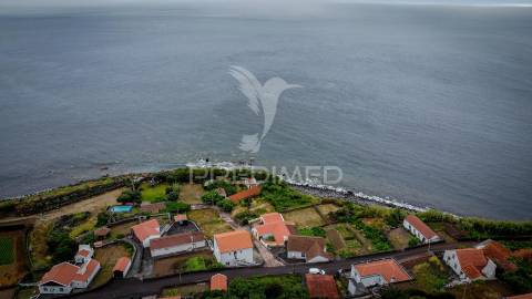 Refúgio natural com potencial de investimento – fajã dos vimes, ilha de são jorge