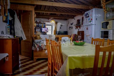 Refúgio natural com potencial de investimento – fajã dos vimes, ilha de são jorge