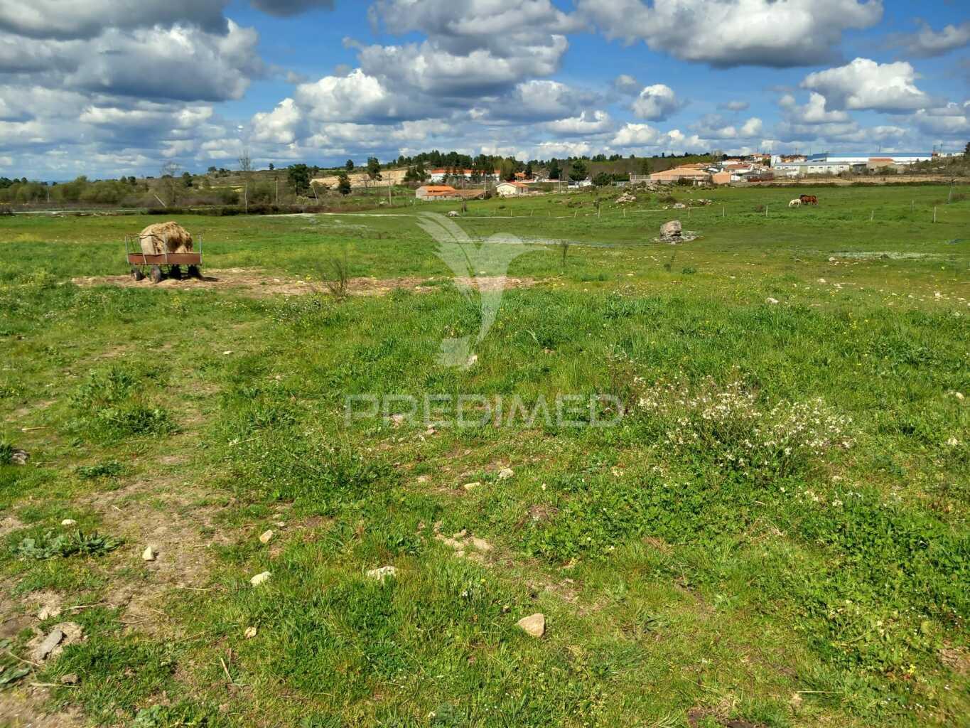 Quinta à venda com 6 hectares – mêda