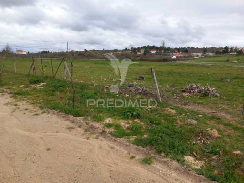 Quinta à venda com 6 hectares – mêda