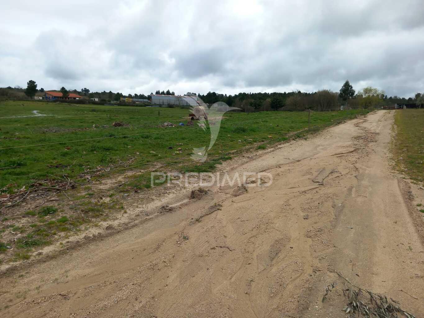 Quinta à venda com 6 hectares – mêda