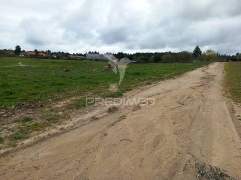 Quinta à venda com 6 hectares – mêda