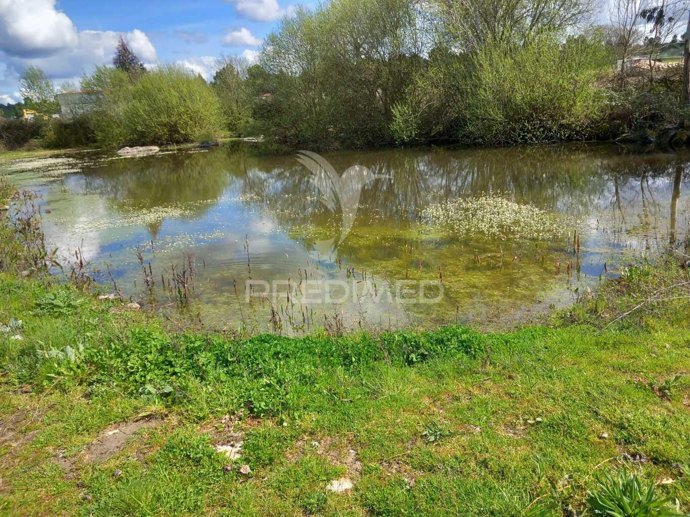 Quinta à venda com 6 hectares – mêda