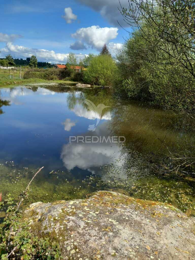 Quinta à venda com 6 hectares – mêda