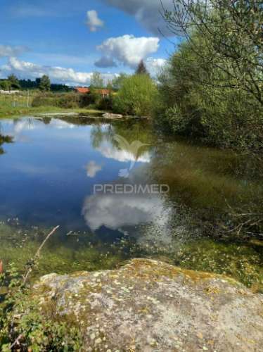 Quinta à venda com 6 hectares – mêda