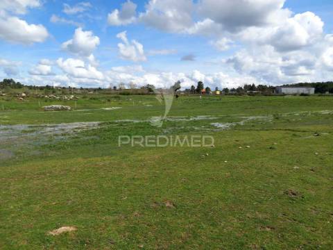 Quinta à venda com 6 hectares – mêda