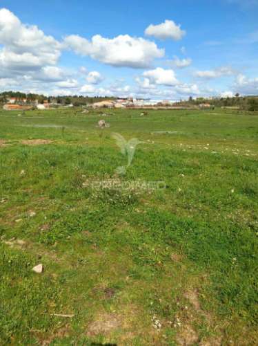 Quinta à venda com 6 hectares – mêda