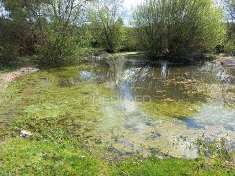 Quinta à venda com 6 hectares – mêda