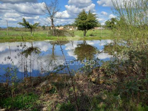 Quinta à venda com 6 hectares – mêda