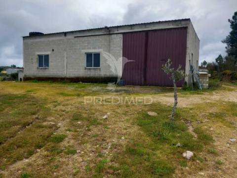 Quinta à venda com 6 hectares – mêda