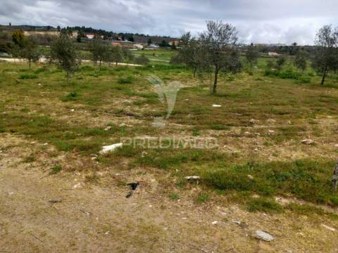 Quinta à venda com 6 hectares – mêda