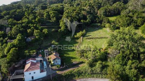 Propriedade para recuperar com quintal – freguesia da urzelina