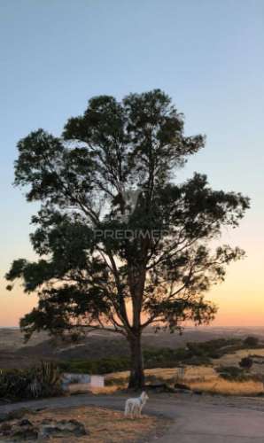 Casa tipicamente alentejana (para restaurar) com 2 quartos