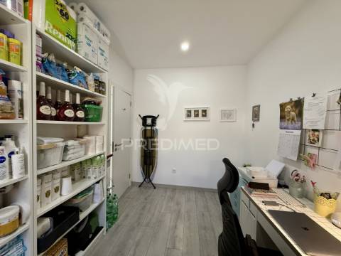 Moradia v3 totalmente reconstruida e piscina