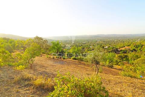 Maravilhosa casa de campo com possibilidade de ser investimento turistico