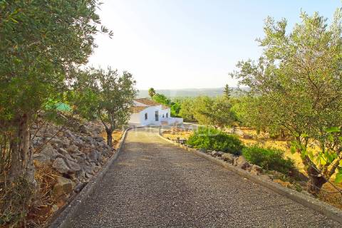 Maravilhosa casa de campo com possibilidade de ser investimento turistico