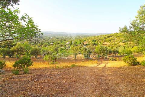 Maravilhosa casa de campo com possibilidade de ser investimento turistico