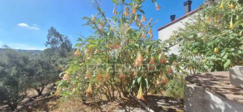 Oportunidade - moradia t4 mobilada, poço dos cães, pombal