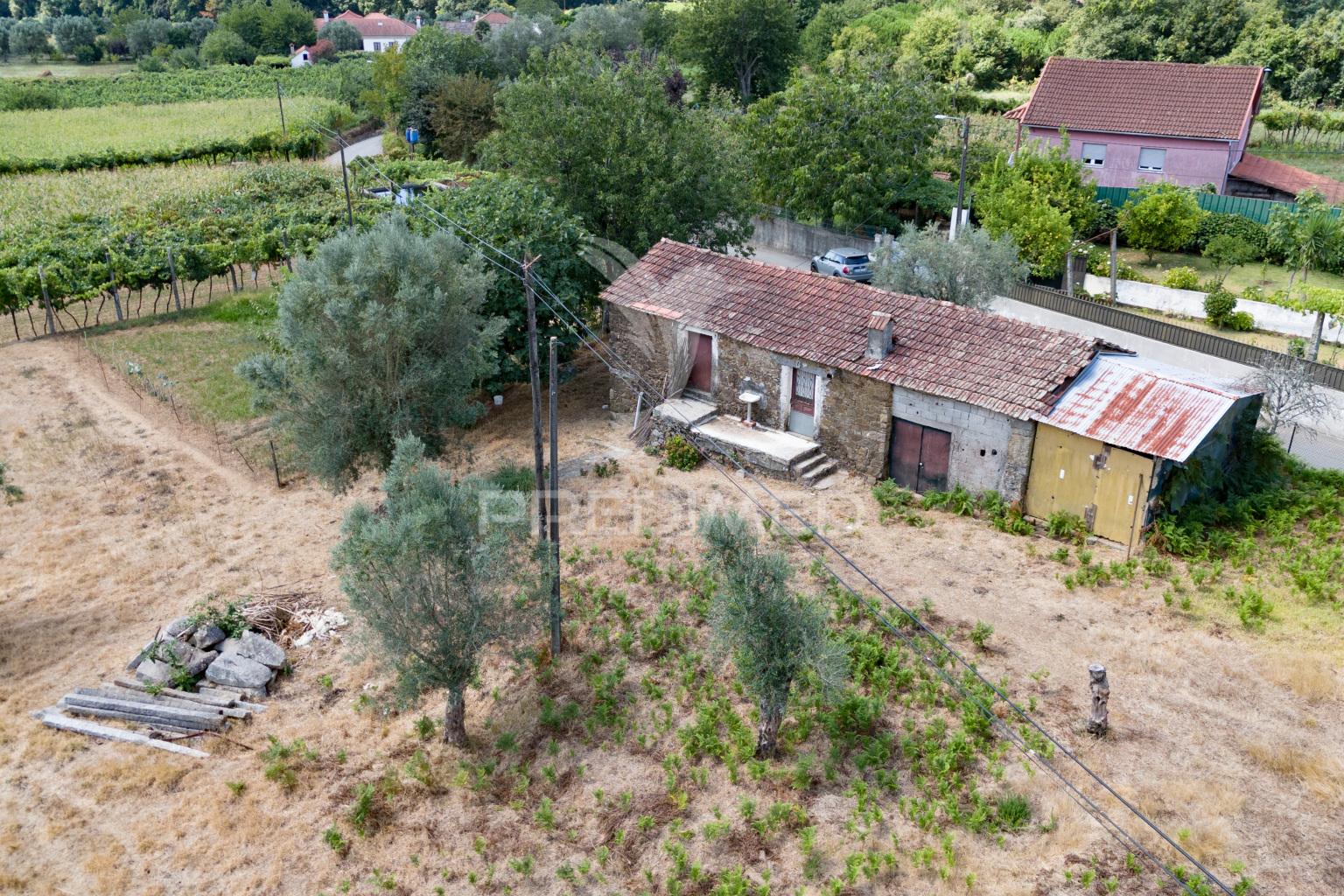 Quintinha com casa em xisto para recuperar – anais